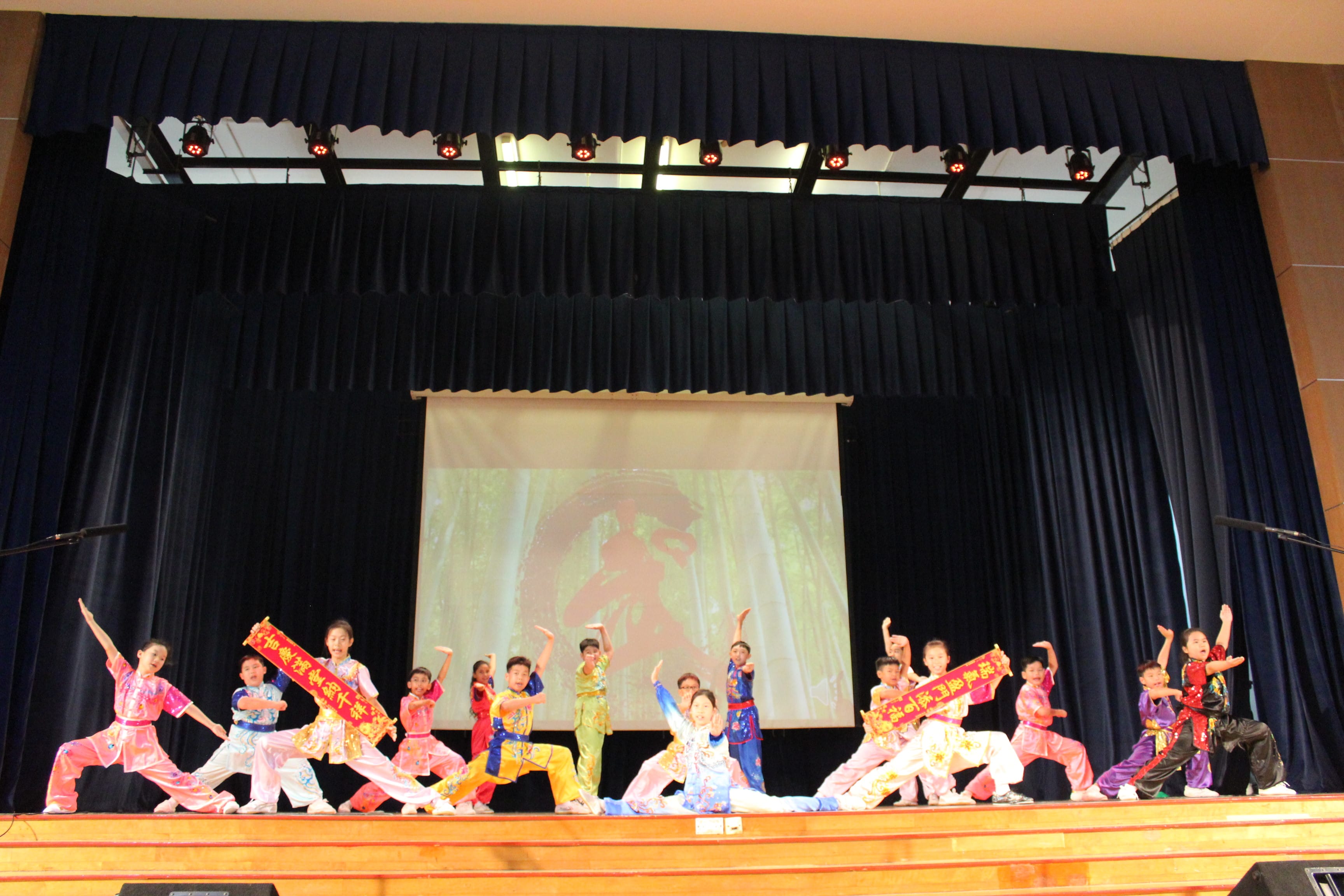 Wushu Performance
